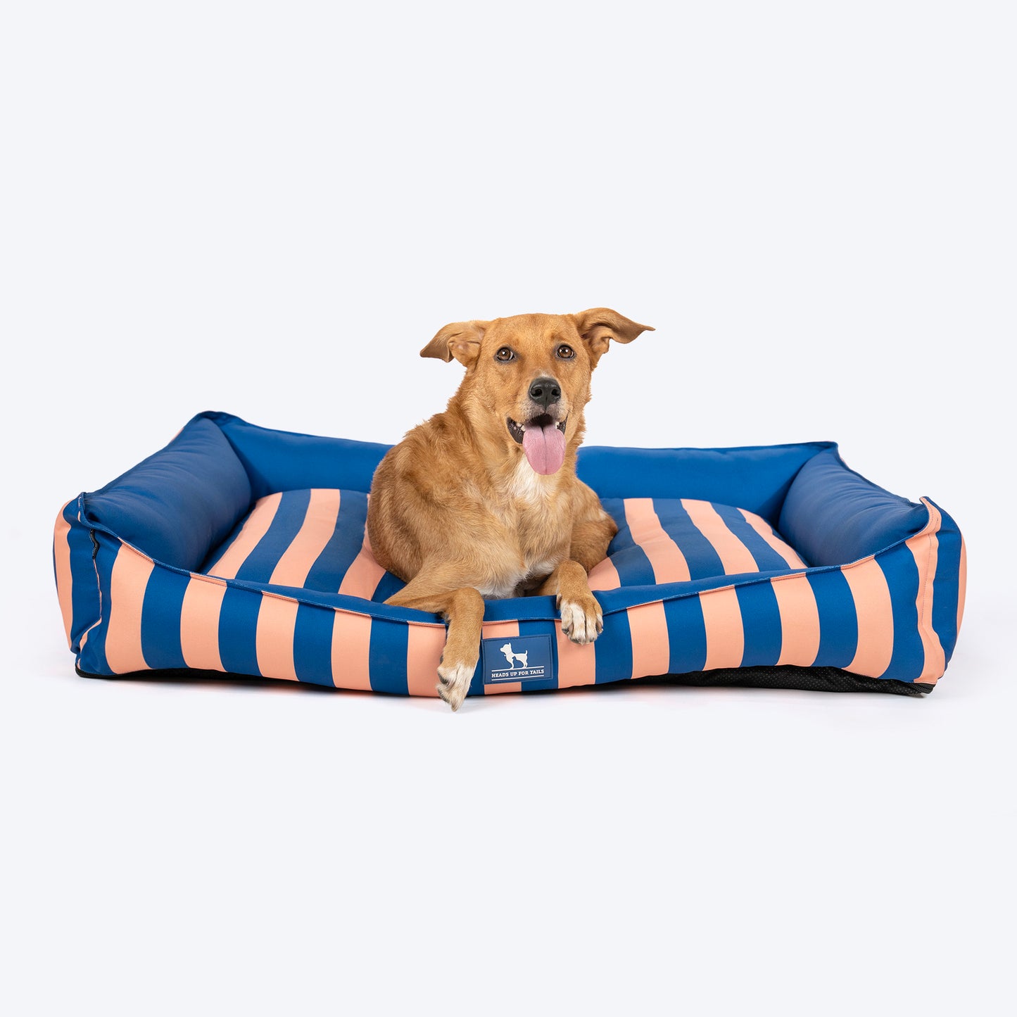 HUFT Happy Stripes Lounger Bed For Dog - Navy & Peach - Heads Up For Tails