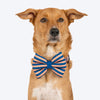HUFT Happy Stripes Bow Tie With Collar For Dog - Blue & Peach - Heads Up For Tails