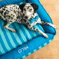 HUFT Personalised Happy Stripes Lounger Bed For Dog - Blue & Turquoise - Heads Up For Tails