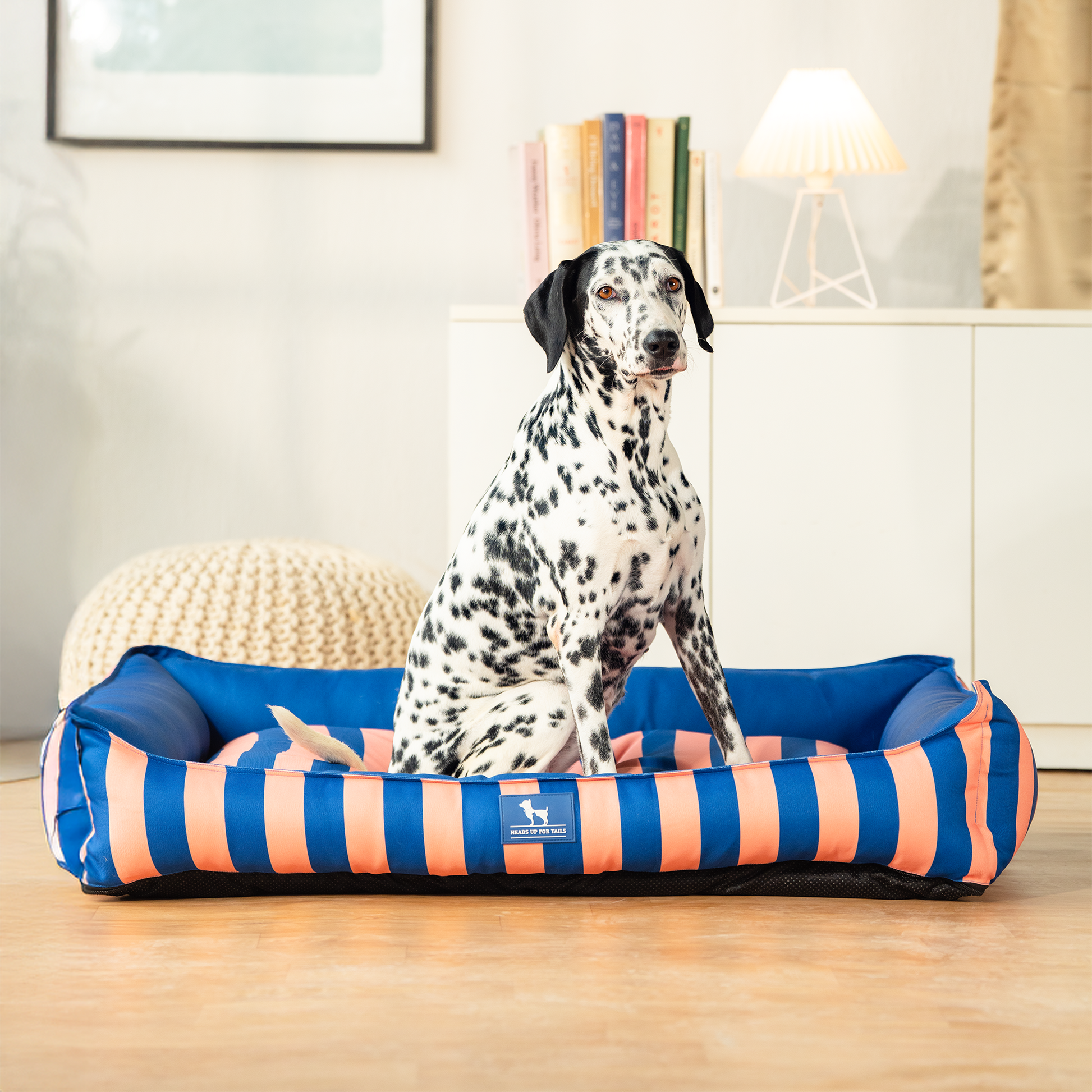 HUFT Personalised Happy Stripes Lounger Bed For Dog - Navy & Peach - Heads Up For Tails