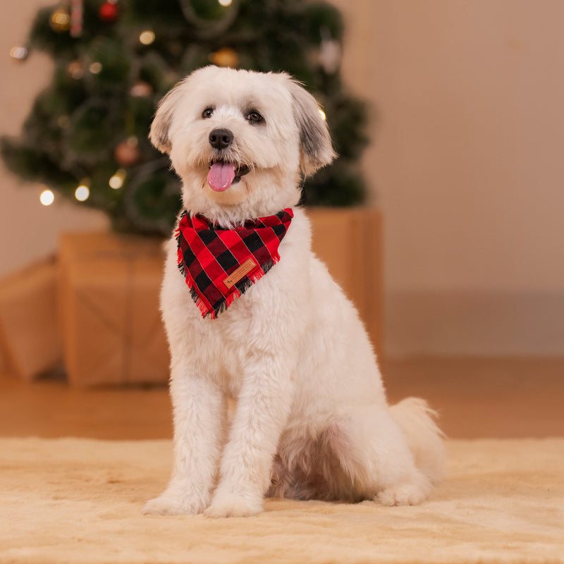 HUFT Holly Jolly Bandana For Dog - Red & Black - Heads Up For Tails
