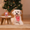 HUFT Merry Stripes Bow Tie for Dog - Red & White - Heads Up For Tails