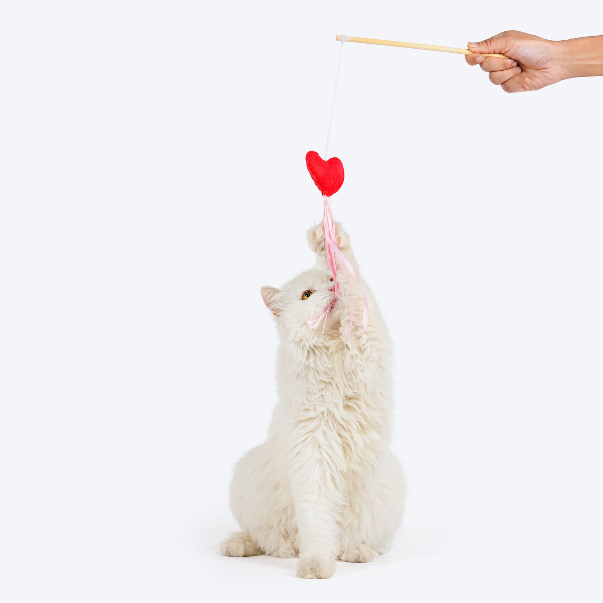 HUFT Love Heart Teaser Wand Toy For Cat - Multicolor - Heads Up For Tails