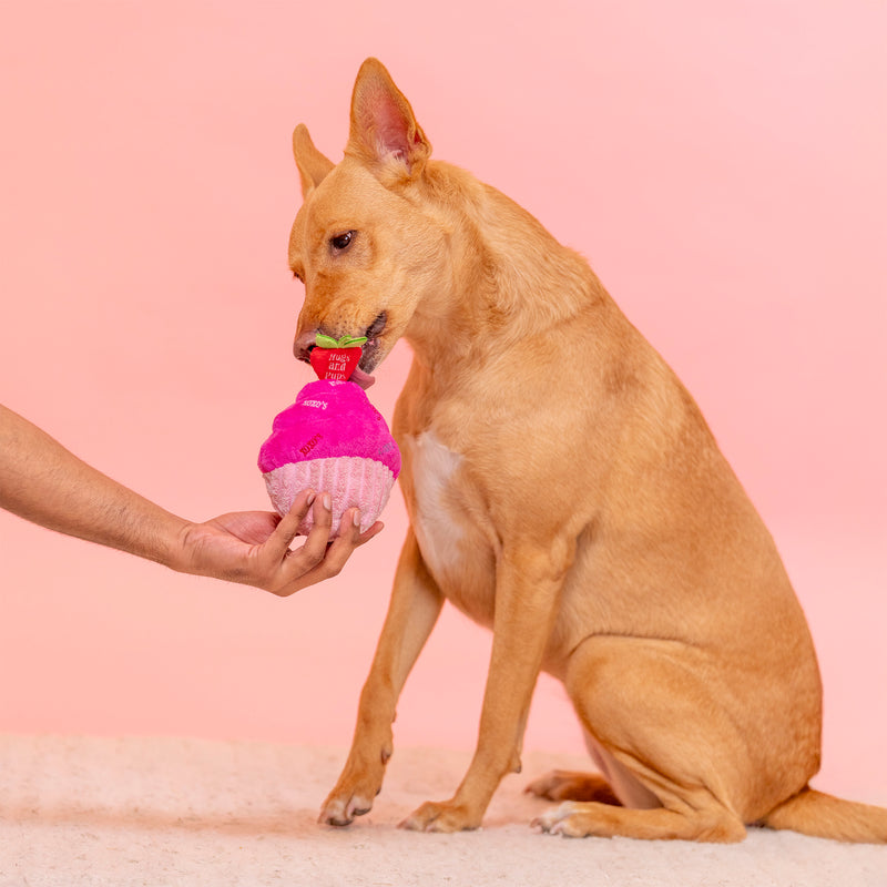 HUFT Cupcake Of Love Squeaky Plush Toy For Dog - Pink - Heads Up For Tails