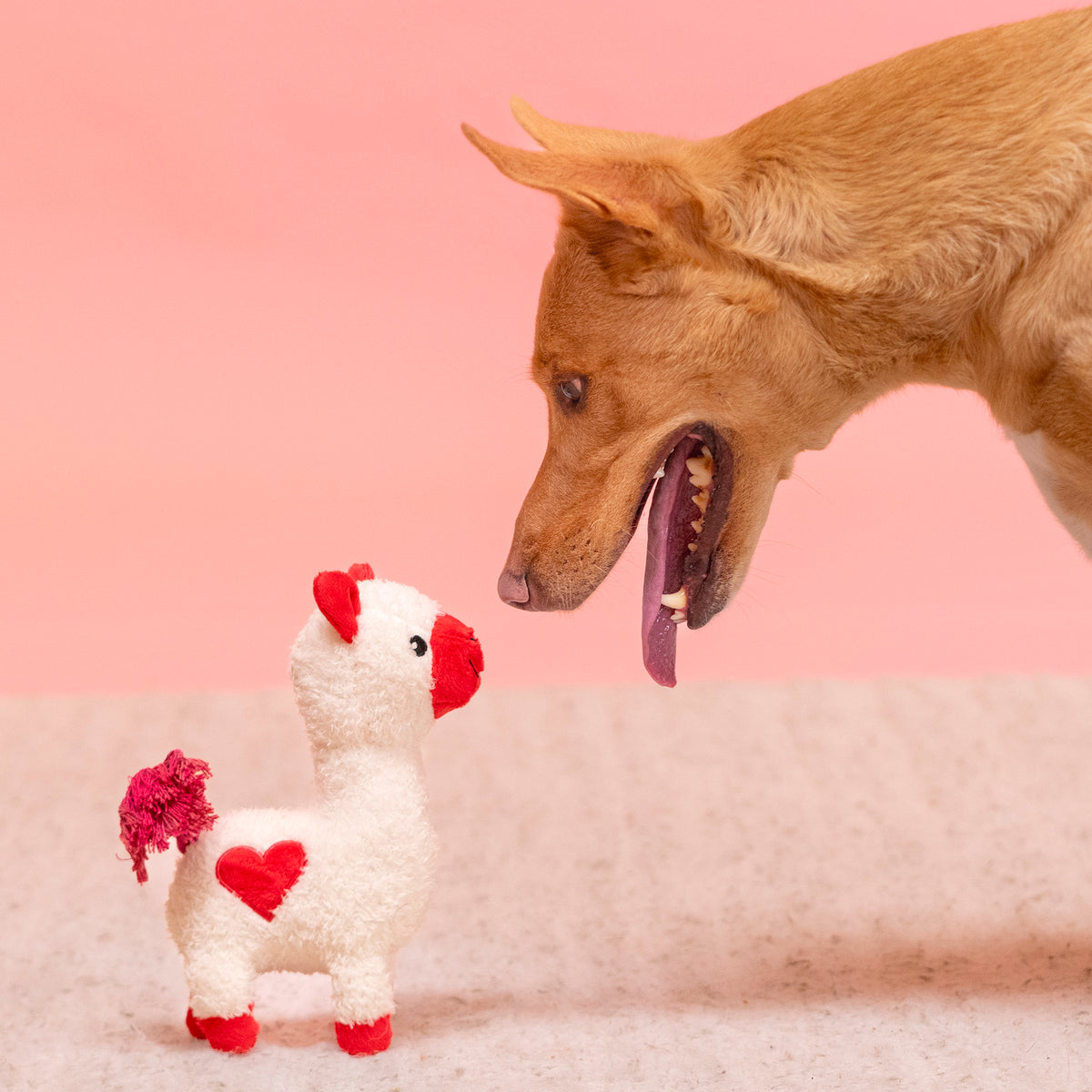 HUFT Love Alpaca Squeaky Plush Toy For Dog - White & Red - Heads Up For Tails