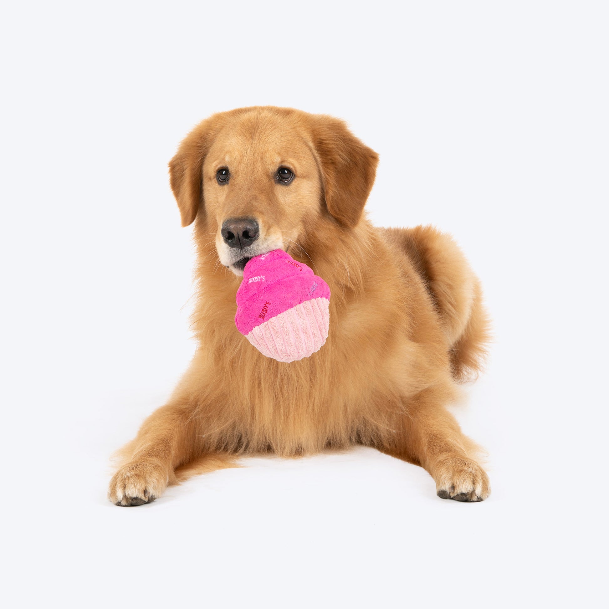 HUFT Cupcake Of Love Squeaky Plush Toy For Dog - Pink - Heads Up For Tails