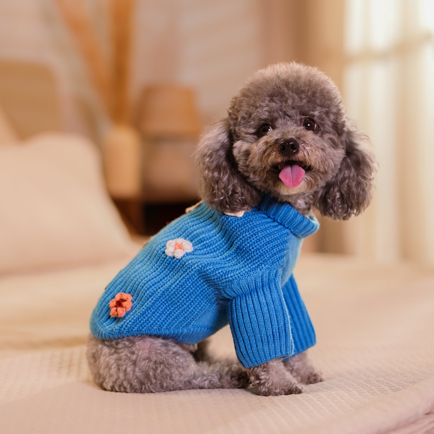 HUFT Frosty Flowers Sweater For Small Dog - Blue - Heads Up For Tails