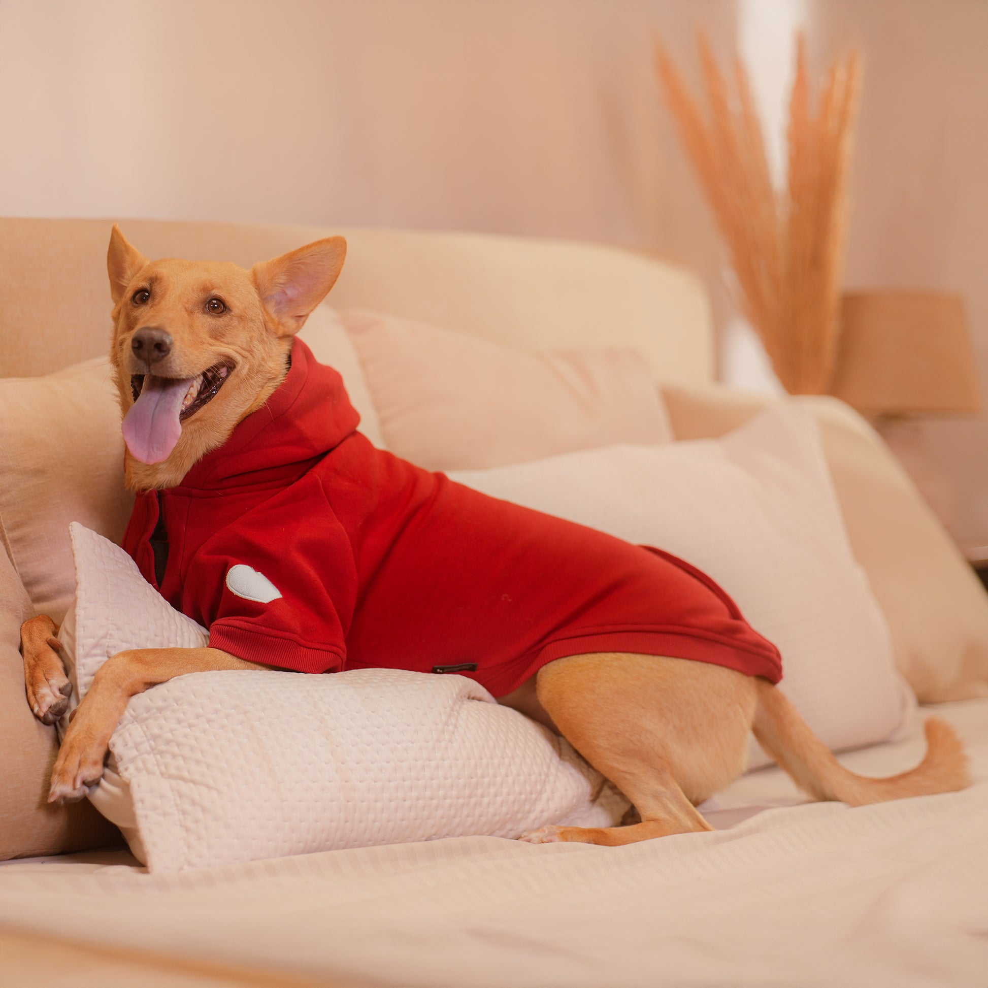 HUFT Cherry Sweet Sweatshirt With Hood For Big Dog - Red - Heads Up For Tails