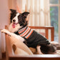 HUFT Snuggle Season Sweater For Dog - Black - Heads Up For Tails