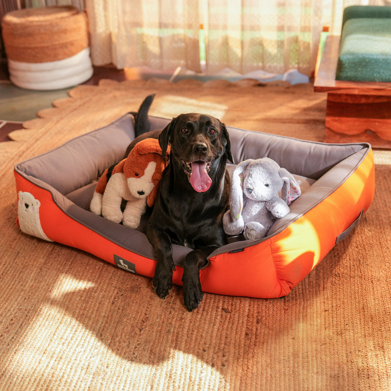 HUFT Cloudy Bear Classic Lounger Bed For Dog - Orange & Grey - Heads Up For Tails