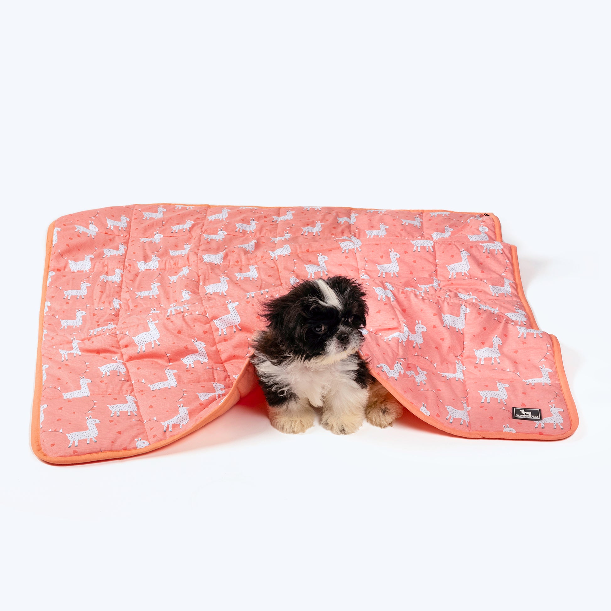 HUFT Cuddle Bundle Puppy & Kitten Blanket - Peach - Heads Up For Tails