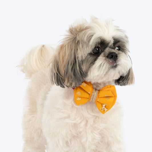 HUFT Shahi Utsav Bow Tie For Dog - Yellow