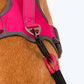 HUFT Rope Dog Leash With Carabiner - Magenta Pink_04