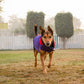 Dash Dog Outdoor Dog Jacket - Violet & Red_02