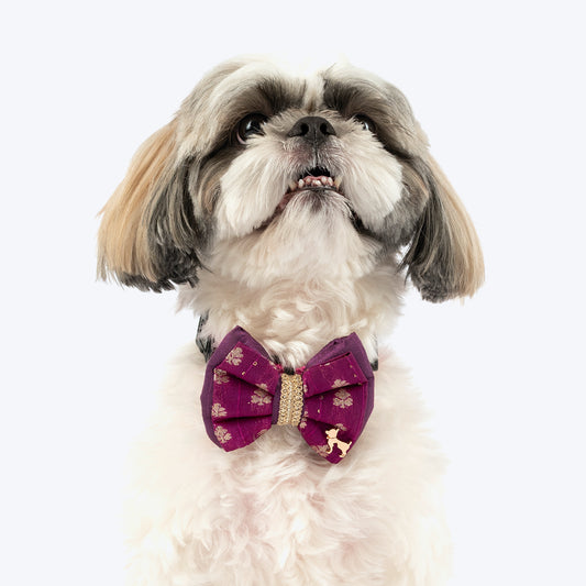 HUFT Shahi Utsav Bow Tie For Dog - Purple
