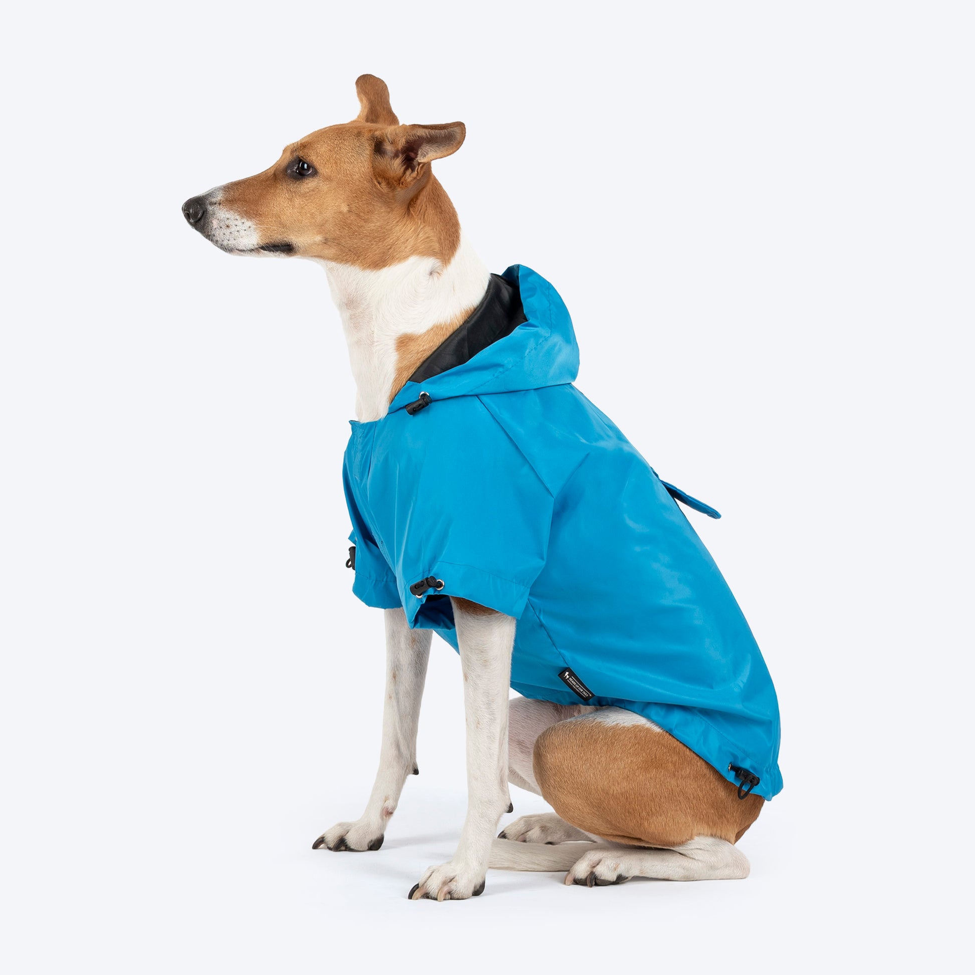 HUFT Magical Mist Raincoat With Harness Opening For Dog - Sky Blue - Heads Up For Tails