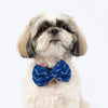 HUFT Royal Shimmer Bow Tie For Dog - Blue
