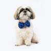 HUFT Royal Shimmer Bow Tie For Dog - Blue