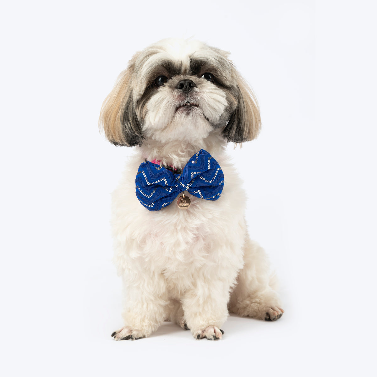 HUFT Royal Shimmer Bow Tie For Dog - Blue