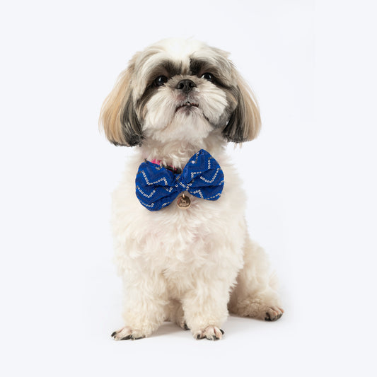 HUFT Royal Shimmer Bow Tie For Dog - Blue