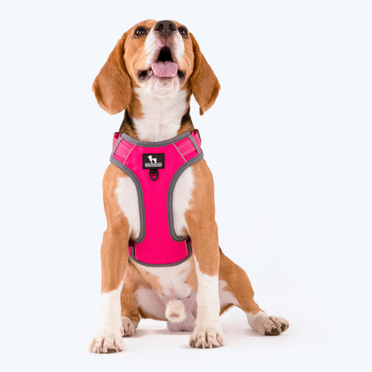 HUFT Active Pet Dog Harness - Magenta Pink - Heads Up For Tails