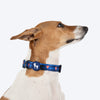 HUFT Striped Love Collar For Dog - Navy - Heads Up For Tails