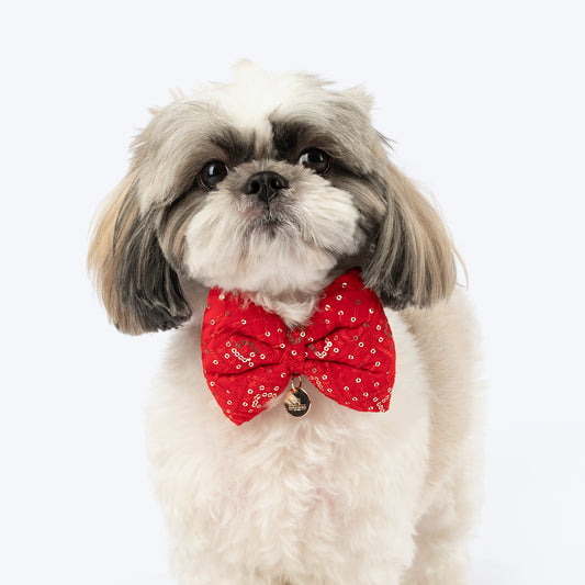 HUFT Royal Radiance Bow Tie For Dog - Red