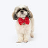 HUFT Royal Radiance Bow Tie For Dog - Red