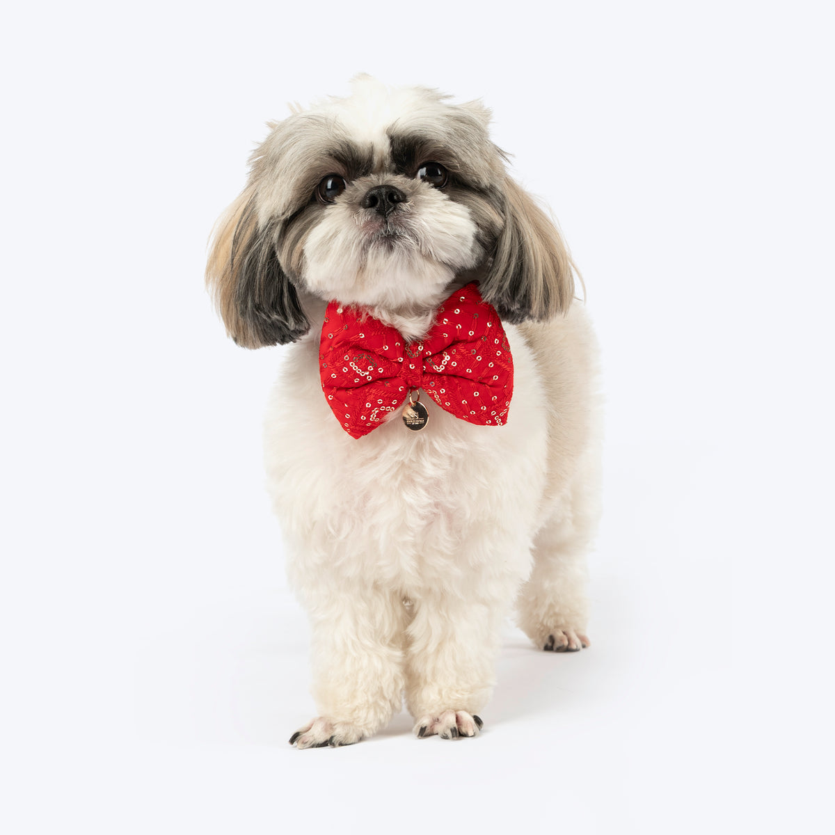 HUFT Royal Radiance Bow Tie For Dog - Red