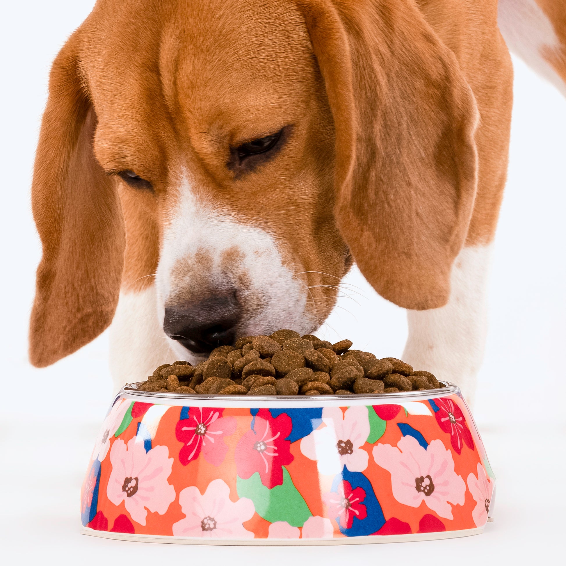 HUFT Petal Play Melamine Bowl For Pets (Orange) - Heads Up For Tails