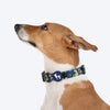 HUFT Dino Land Collar For Dog - Blue - Heads Up For Tails