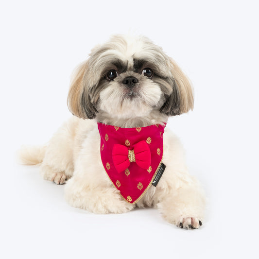 HUFT Shahi Brocade Scarf For Pet - Pink