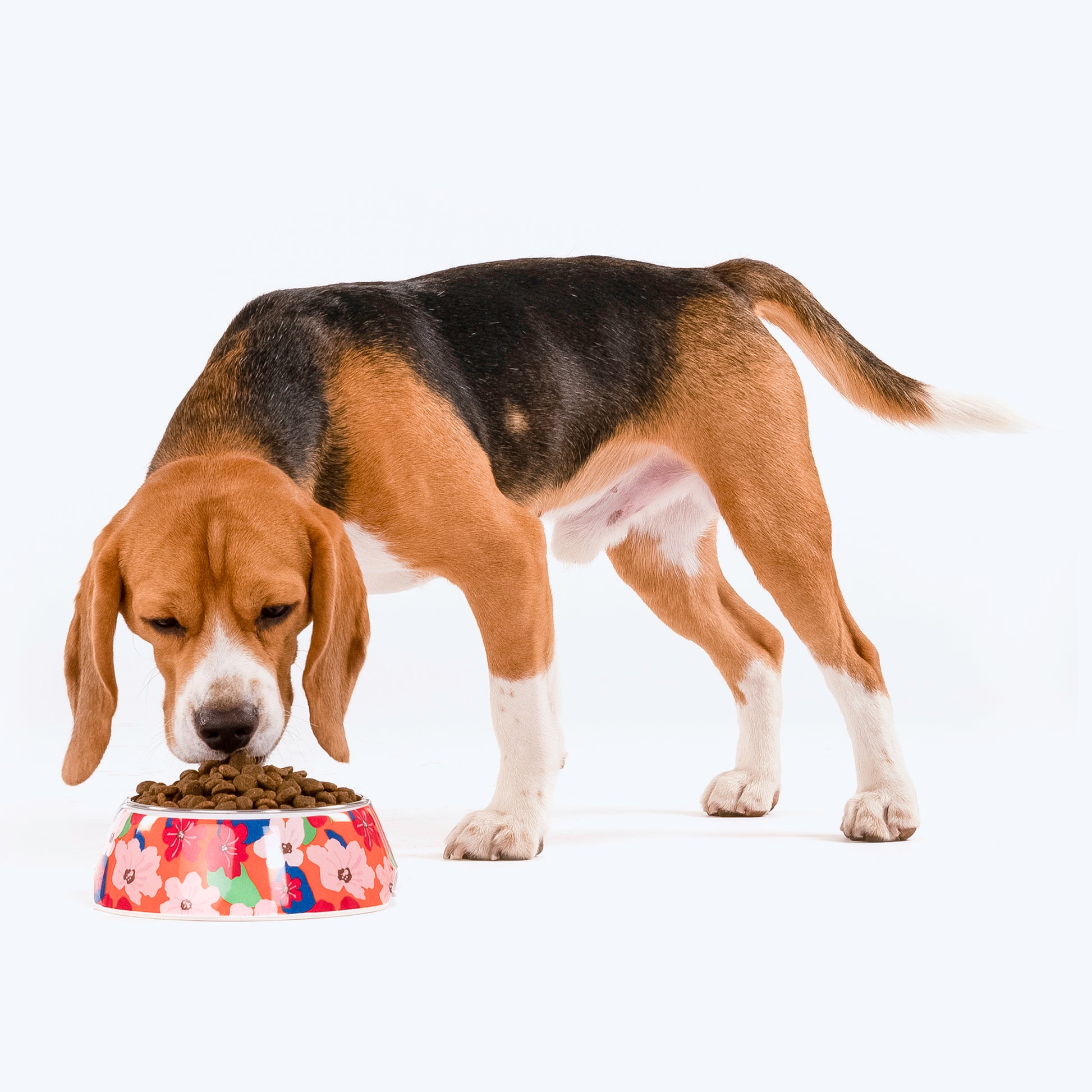 HUFT Petal Play Melamine Bowl For Pets (Orange) - Heads Up For Tails