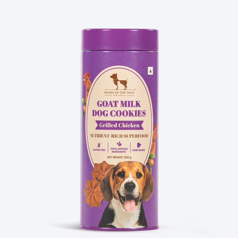 The Treat Paglu Dog Combo