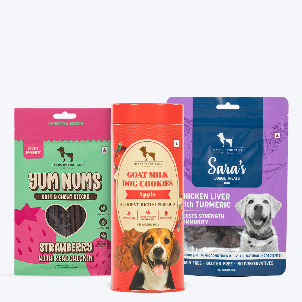 HUFT Immunity Treat Trio