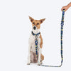 HUFT Dino Land Leash For Dog - Blue - Heads Up For Tails