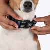 HUFT Dino Land Collar For Dog - Blue - Heads Up For Tails