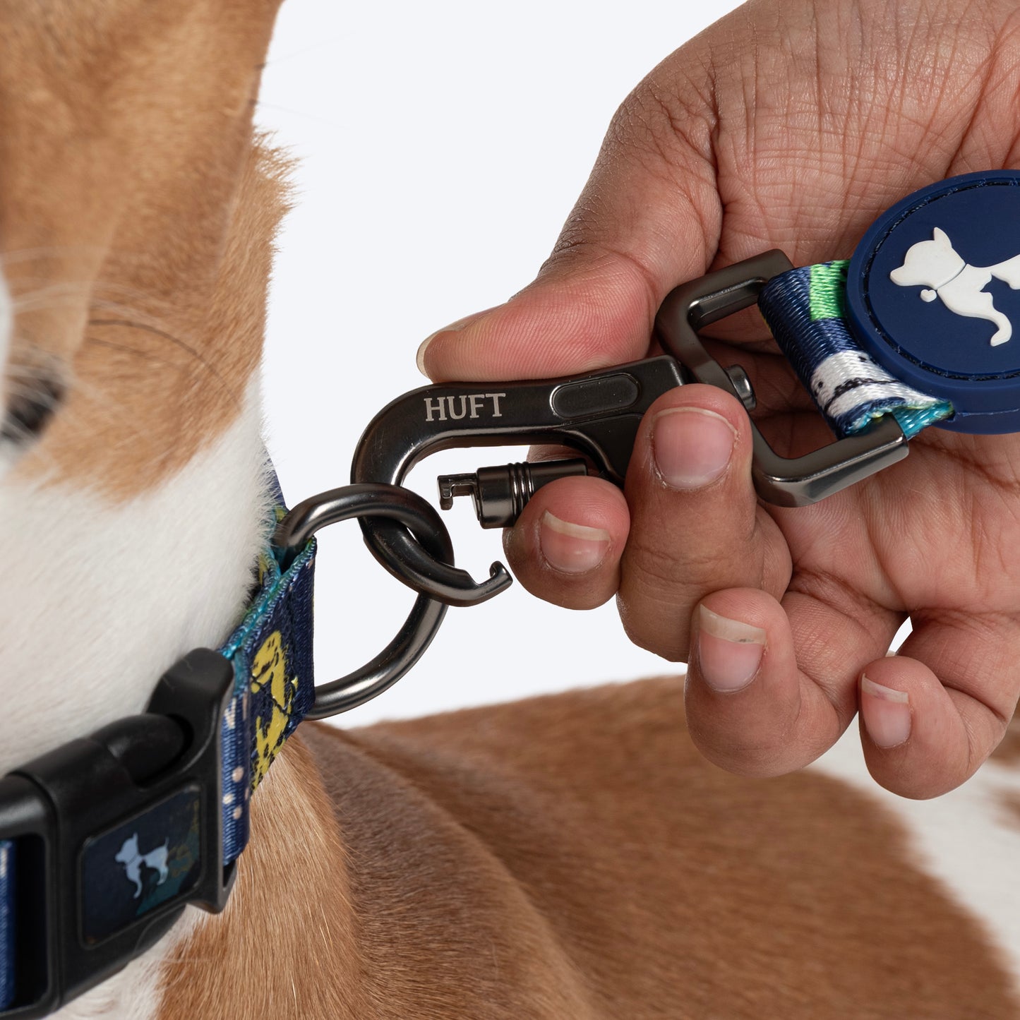 HUFT Dino Land Leash For Dog - Blue - Heads Up For Tails