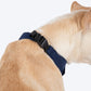 HUFT Bow Wow Tuxedo Bandana for Dog - Navy