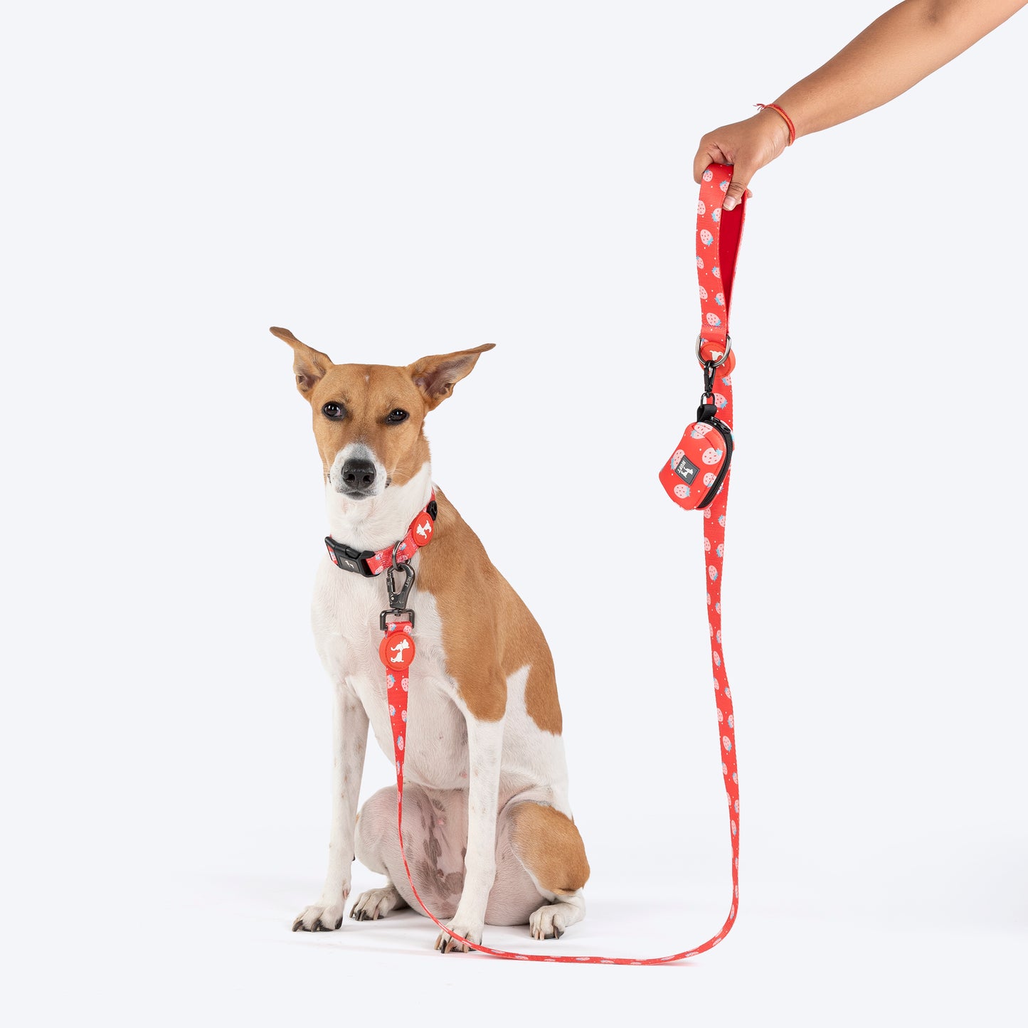 HUFT Berry Bliss Waste Bag Dispenser For Dog & Cat - Red - Heads Up For Tails