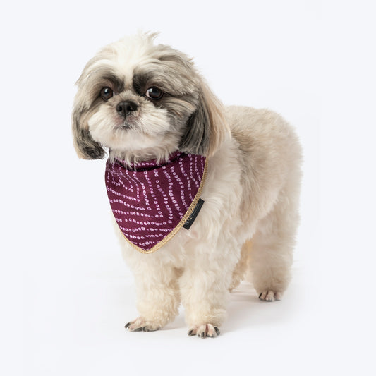 HUFT Royal Bandhani Knot Bandana For Dog - Purple
