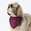 HUFT Royal Bandhani Knot Bandana For Dog - Purple