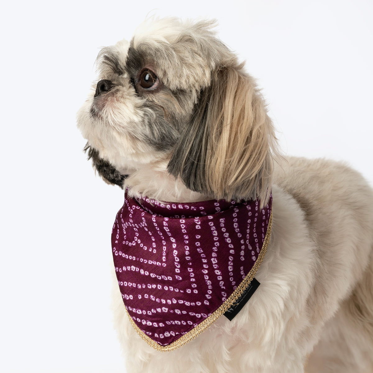 HUFT Royal Bandhani Knot Bandana For Dog - Purple