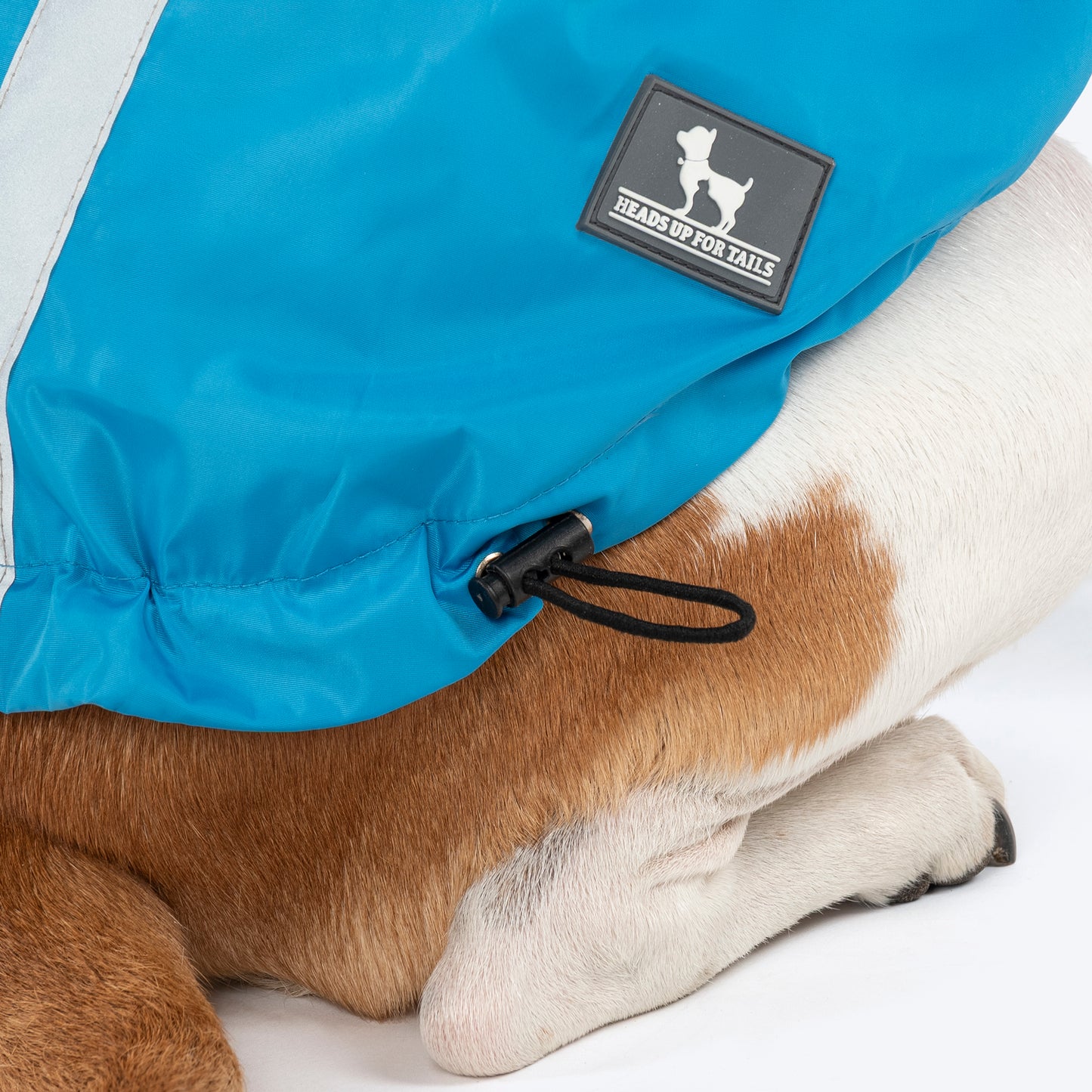 HUFT Magical Mist Raincoat With Harness Opening For Dog - Sky Blue - Heads Up For Tails