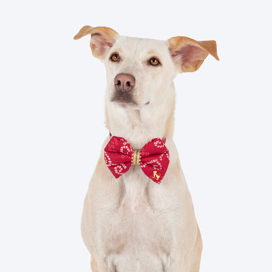 HUFT Bandhani Breeze Bowtie With Strap For Dog - Red