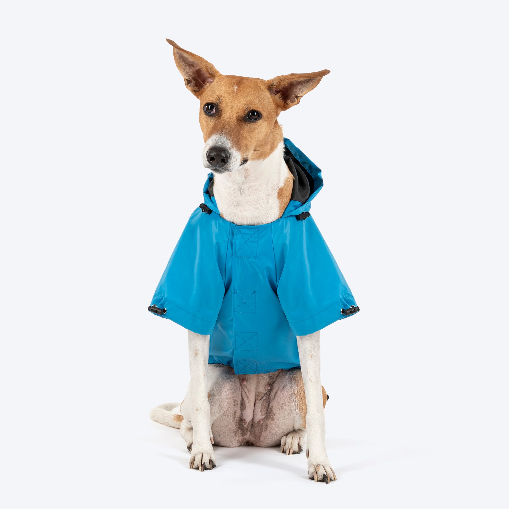 HUFT Magical Mist Raincoat With Harness Opening For Dog - Sky Blue - Heads Up For Tails