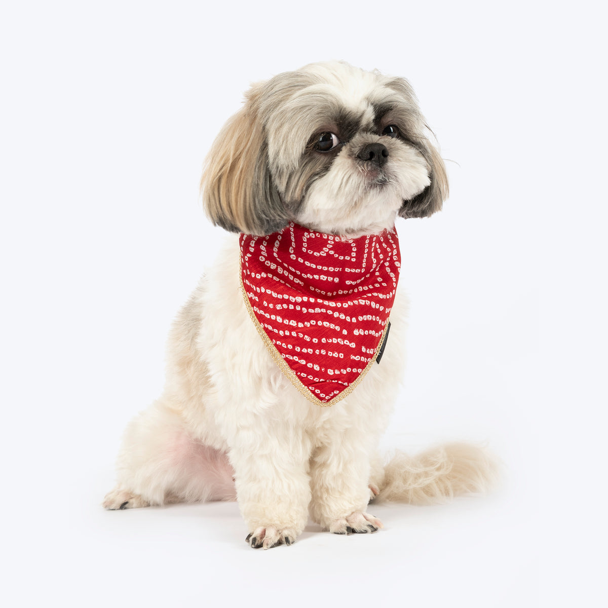 HUFT Royal Bandhani Knot Bandana For Dog - Red