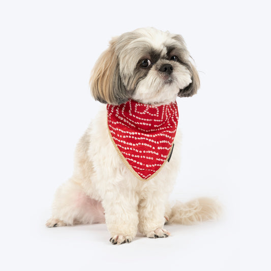 HUFT Royal Bandhani Knot Bandana For Dog - Red