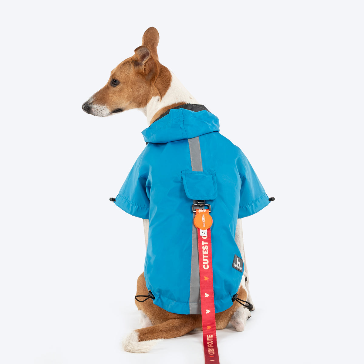 HUFT Magical Mist Raincoat With Harness Opening For Dog - Sky Blue, Leash Opening