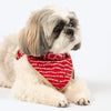 HUFT Royal Bandhani Knot Bandana For Dog - Red